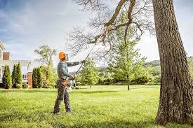 Best Leaf Removal  in Marysville, CA